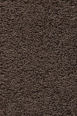 Ковролин AW Devotion 44 фото 1 | FLOORDEALER